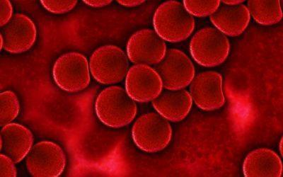 Keine Angst vor der Blutabnahme