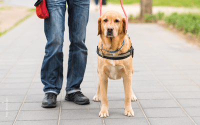 Muss ich Begleithunde in meine Praxis lassen?
